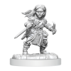 D&D Nolzur's Marvelous Miniatures: Halfling Rogue Female