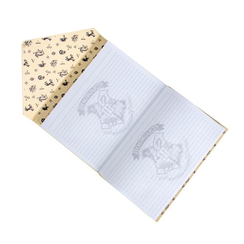 Harry Potter - Envelope Notebook