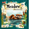 Meadow: Downstream (Exp)