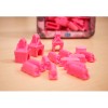 Ticket to Ride: Play Pink (Exp)