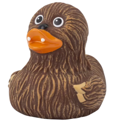 Whooping Duck