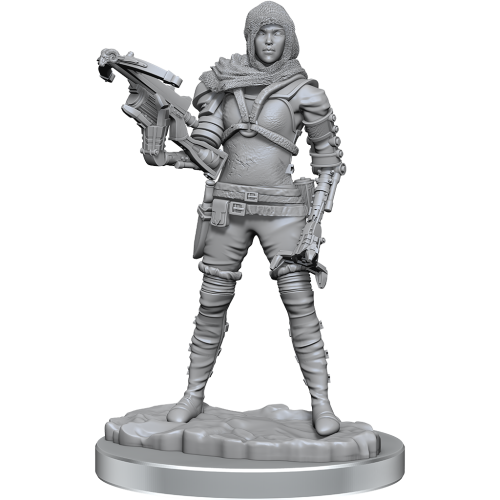 WizKids Deep Cuts: Human Rogue