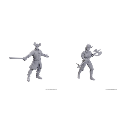 D&D Nolzur's Marvelous Miniatures: Special Edition Baldur's Gate 3 — Wyll & Karlach