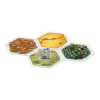 A Game of Thrones: Catan - Brotherhood of the Watch