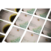 Alien Artifacts: Discovery (Exp)