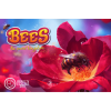 Bees: The Secret Kingdom