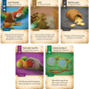 Dale of Merchants