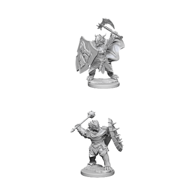 D&D: Nolzur's Marvelous Miniatures - Dragonborn Male Paladin
