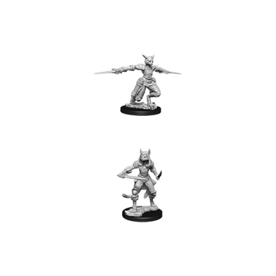 D&D Nolzur's Marvelous Miniatures - Female Tabaxi Rogue