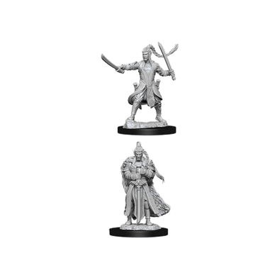 D&D Nolzur's Marvelous Miniatures - Male Elf Paladin