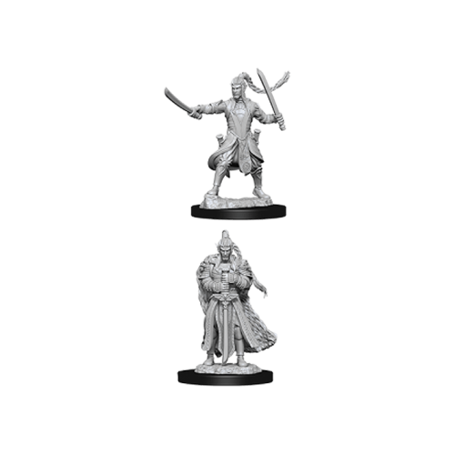 D&D Nolzur's Marvelous Miniatures - Male Elf Paladin