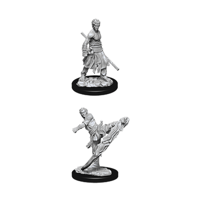 D&D Nolzur's Marvelous Miniatures - Male Half-Elf Monk