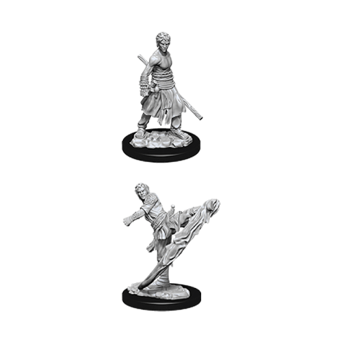 D&D Nolzur's Marvelous Miniatures - Male Half-Elf Monk