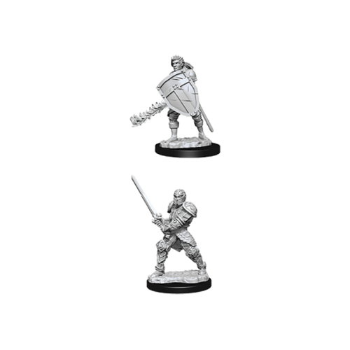 D&D Nolzur's Marvelous Unpainted Miniatures: Male Human Fighter
