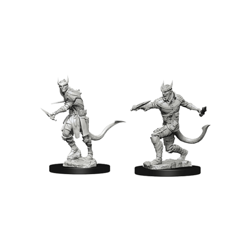 D&D Nolzur's Marvelous Unpainted Miniatures: Tiefling Male Rogue