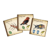 On the Origin of Species