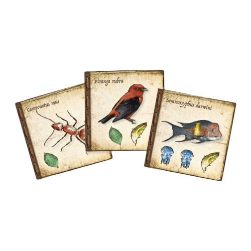On the Origin of Species
