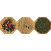 Wasteland Express Delivery Service